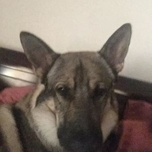 Meet your Posher, Dee